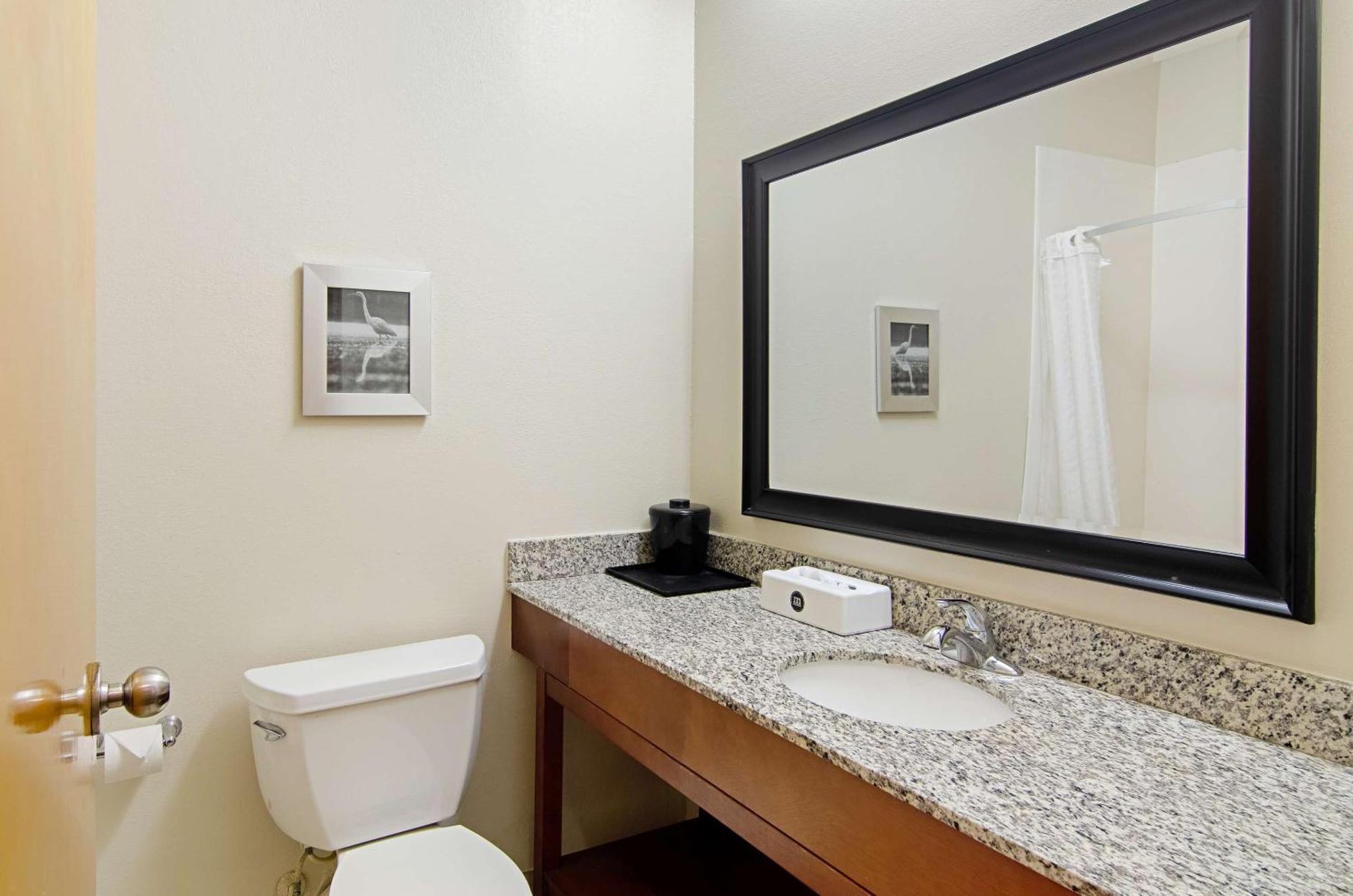 Quality Inn & Suites Near Tanger Outlet Mall Gonzales Ngoại thất bức ảnh